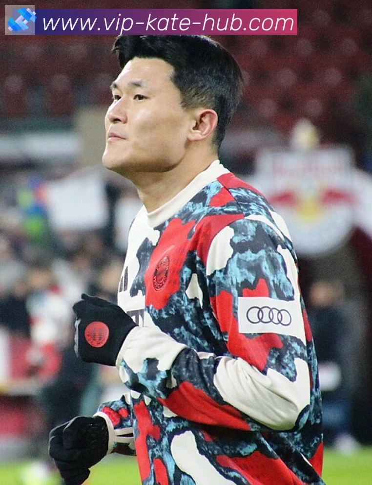 维尼修斯